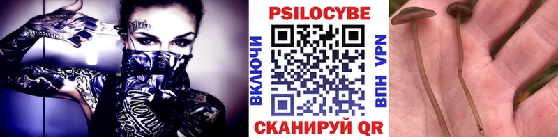 Псилоцибиновые грибы Magic Shrooms  Купить  Трубчевск 